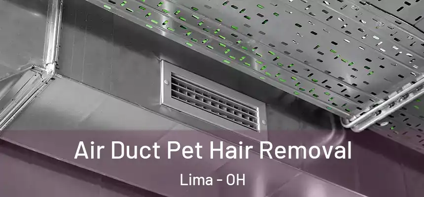  Air Duct Pet Hair Removal Lima - OH