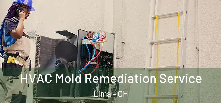  HVAC Mold Remediation Service Lima - OH