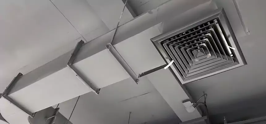 Restorative Allergy Relief Vent Cleaning – Coil, Blower & Housing Detail in Lima