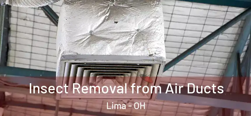  Insect Removal from Air Ducts Lima - OH