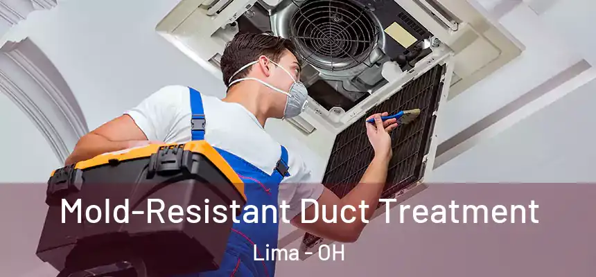  Mold-Resistant Duct Treatment Lima - OH