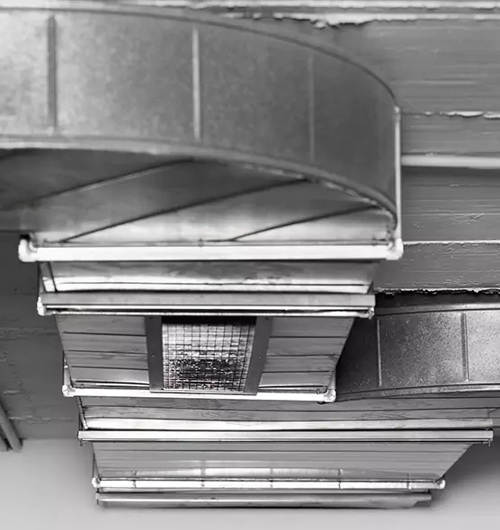 Professional Air Duct Pet Hair Removal in Lima, OH