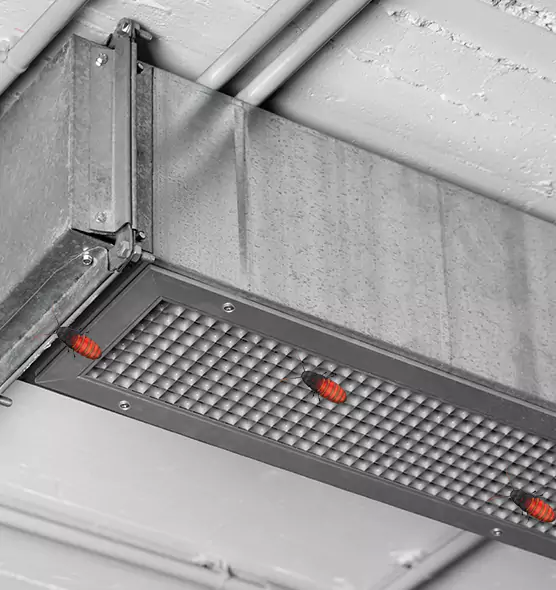 Affordable Insect Removal from Air Ducts in Lima, OH